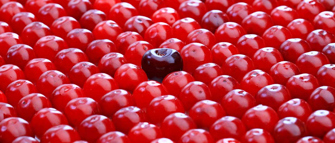 A single dark cherry among multiple red cherries.