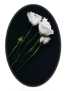 three white roses in black oval