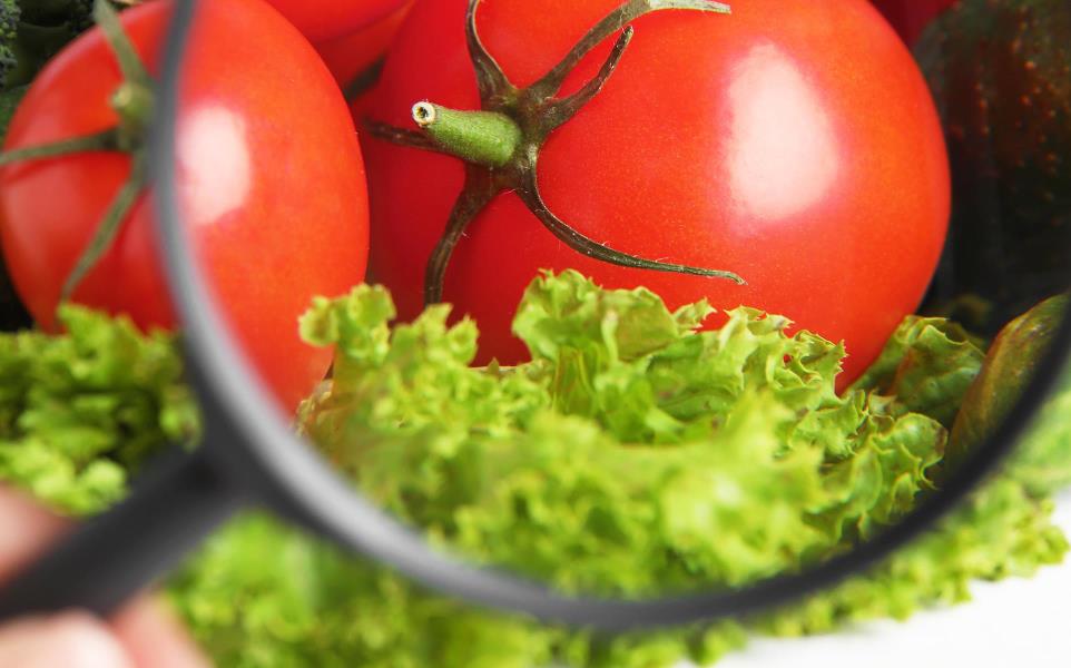 Woman with magnifying glass exploring vegetables, closeup. Poison detection