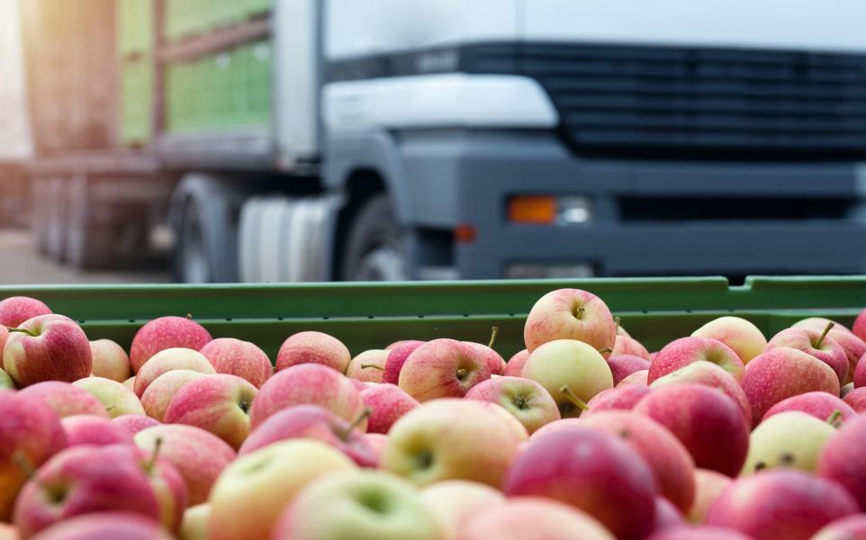 Apples in containers placed in front of truck about to be loaded.