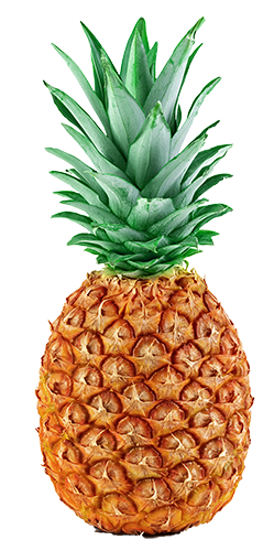 Isolated pineapple