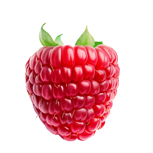 Isolated red raspberry.